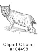 Lynx Clipart #104498 by patrimonio