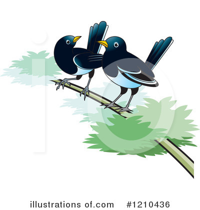 Magpie Clipart #1210436 by Lal Perera