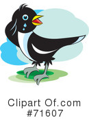 Magpie Clipart #71607 by Lal Perera