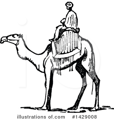 Camel Clipart #1429008 by Prawny Vintage