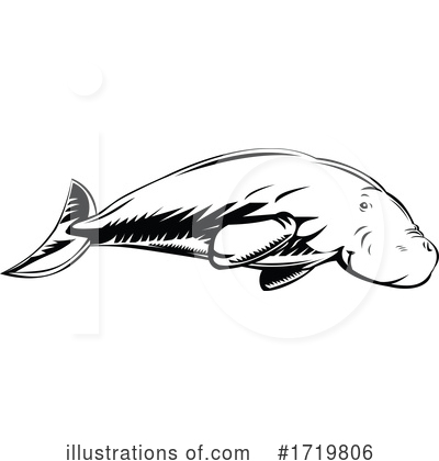 Dugong Clipart #1719806 by patrimonio