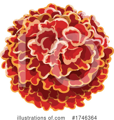 Royalty-Free (RF) Marigold Clipart Illustration by Vector Tradition SM - Stock Sample #1746364