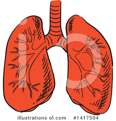 Lungs Clipart #1417504 by Vector Tradition SM