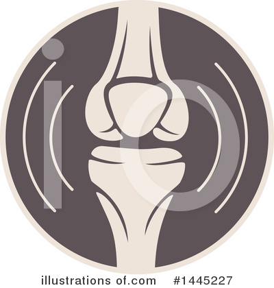 Anatomy Clipart #1445227 by Vector Tradition SM