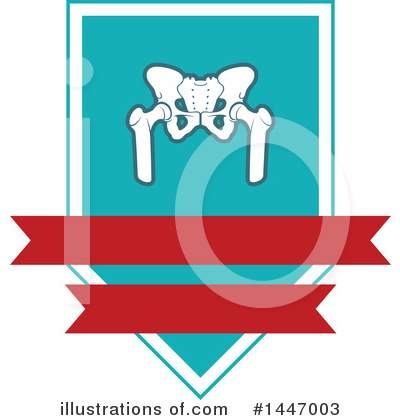 Pelvis Clipart #1447003 by Vector Tradition SM