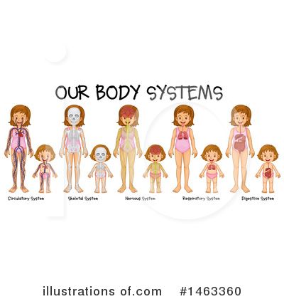 Digestive System Clipart #1463360 by Graphics RF