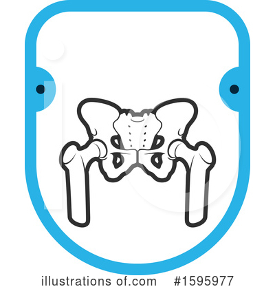 Pelvis Clipart #1595977 by Vector Tradition SM