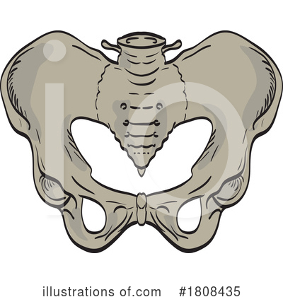 Bones Clipart #1808435 by patrimonio