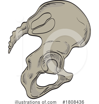 Bones Clipart #1808436 by patrimonio