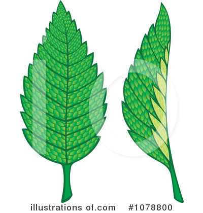 Leaves Clipart #1078800 by Any Vector