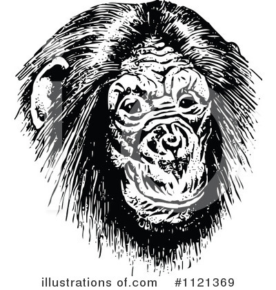 Royalty-Free (RF) Monkey Clipart Illustration by Prawny Vintage - Stock Sample #1121369
