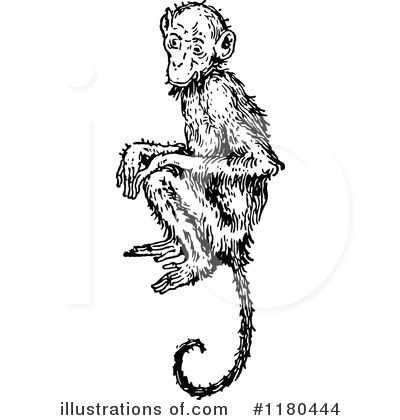 Royalty-Free (RF) Monkey Clipart Illustration by Prawny Vintage - Stock Sample #1180444