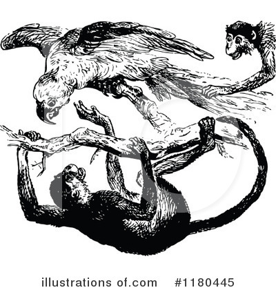 Royalty-Free (RF) Monkey Clipart Illustration by Prawny Vintage - Stock Sample #1180445