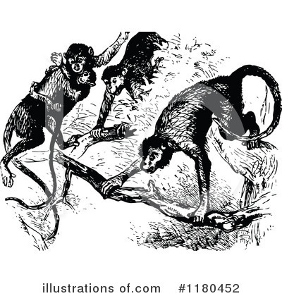 Royalty-Free (RF) Monkey Clipart Illustration by Prawny Vintage - Stock Sample #1180452