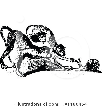 Royalty-Free (RF) Monkey Clipart Illustration by Prawny Vintage - Stock Sample #1180454