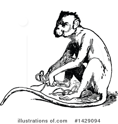 Royalty-Free (RF) Monkey Clipart Illustration by Prawny Vintage - Stock Sample #1429094