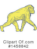 Monkey Clipart #1458842 by patrimonio