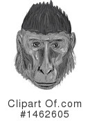 Monkey Clipart #1462605 by patrimonio