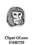 Monkey Clipart #1680729 by patrimonio