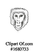 Monkey Clipart #1680733 by patrimonio