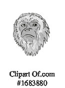 Monkey Clipart #1683880 by patrimonio