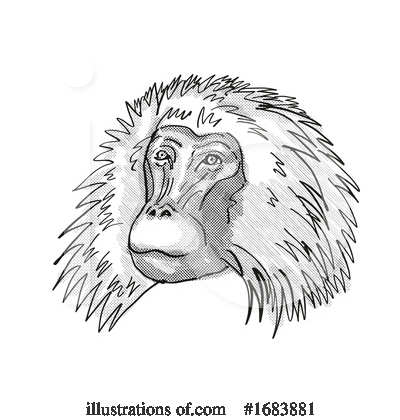 Royalty-Free (RF) Monkey Clipart Illustration by patrimonio - Stock Sample #1683881