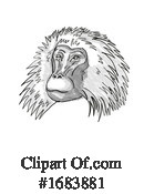 Monkey Clipart #1683881 by patrimonio