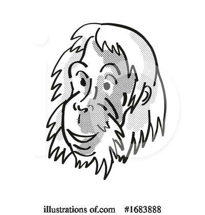 Orangutan Clipart #1683888 by patrimonio
