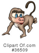 Monkey Clipart #36509 by dero