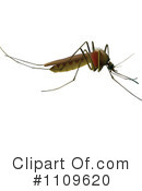 Mosquito Clipart #1109620 by dero