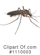 Mosquito Clipart #1110003 by dero