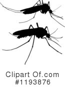 Mosquito Clipart #1193876 by dero