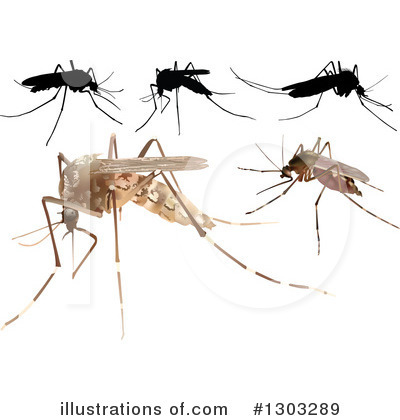 Mosquito Clipart #1303289 by dero