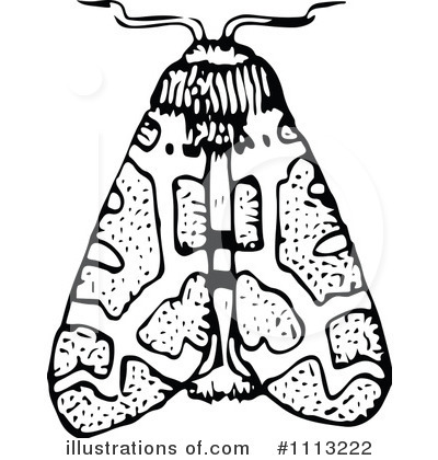 Royalty-Free (RF) Moth Clipart Illustration by Prawny Vintage - Stock Sample #1113222