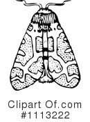 Moth Clipart #1113222 by Prawny Vintage