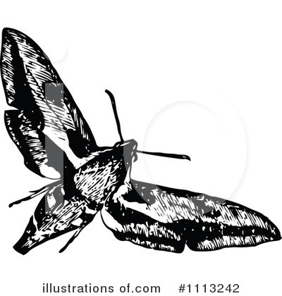 Royalty-Free (RF) Moth Clipart Illustration by Prawny Vintage - Stock Sample #1113242