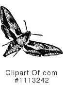 Moth Clipart #1113242 by Prawny Vintage