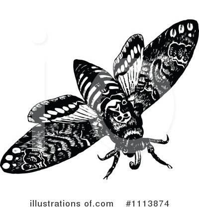 Royalty-Free (RF) Moth Clipart Illustration by Prawny Vintage - Stock Sample #1113874