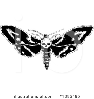 Royalty-Free (RF) Moth Clipart Illustration by lineartestpilot - Stock Sample #1385485