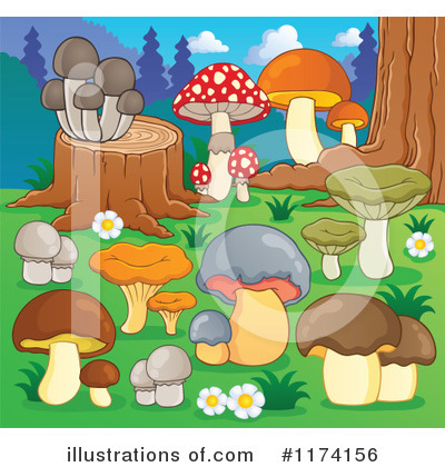 Royalty-Free (RF) Mushroom Clipart Illustration by visekart - Stock Sample #1174156