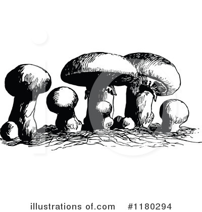 Royalty-Free (RF) Mushroom Clipart Illustration by Prawny Vintage - Stock Sample #1180294