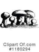 Mushroom Clipart #1180294 by Prawny Vintage