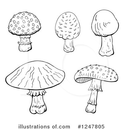 Royalty-Free (RF) Mushroom Clipart Illustration by merlinul - Stock Sample #1247805