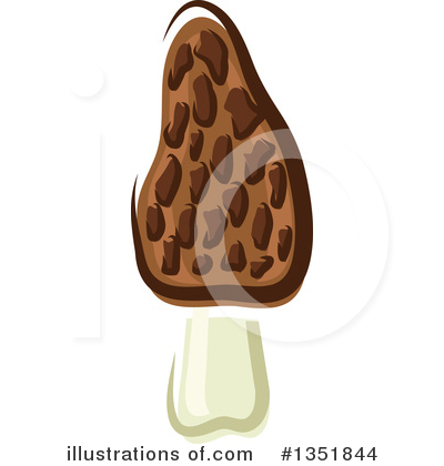 Morel Clipart #1351844 by Vector Tradition SM