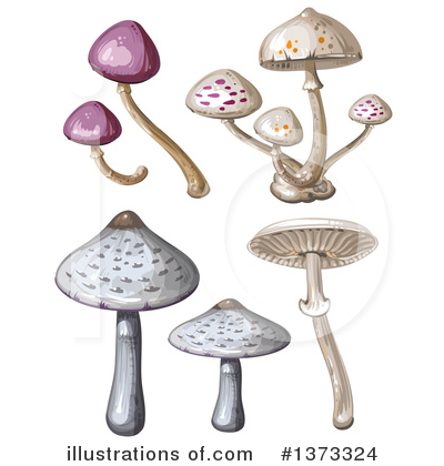 Royalty-Free (RF) Mushroom Clipart Illustration by merlinul - Stock Sample #1373324
