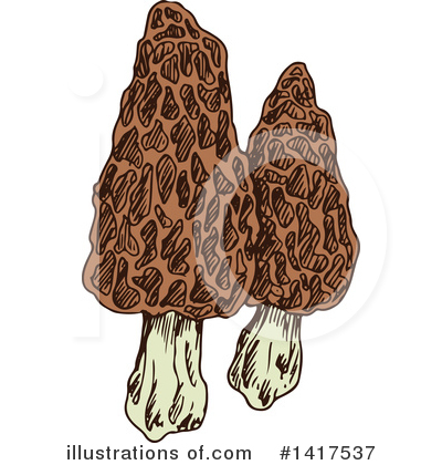 Morel Clipart #1417537 by Vector Tradition SM