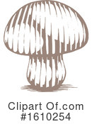 Mushroom Clipart #1610254 by cidepix