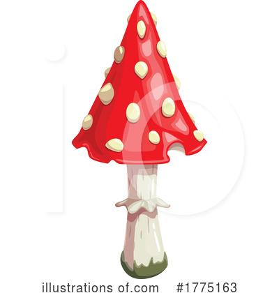 Mushrooms Clipart #1775163 by Vector Tradition SM