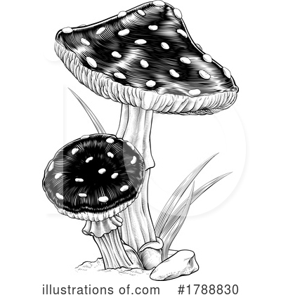 Mushrooms Clipart #1788830 by AtStockIllustration