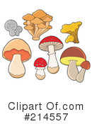 Mushrooms Clipart #214557 by visekart